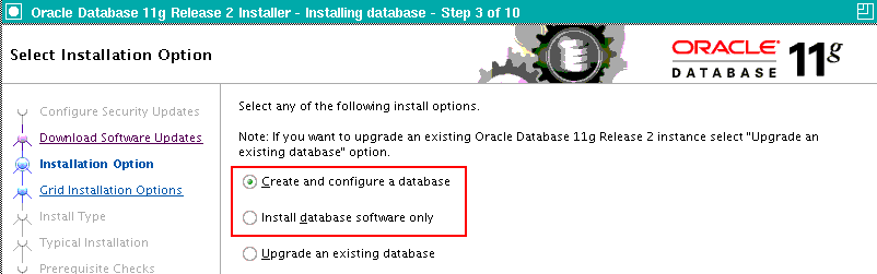 Options Oracle Download